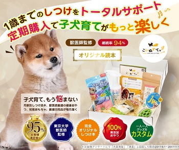 こいぬすてっぷ詳細