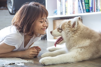 子犬と女性,信頼関係